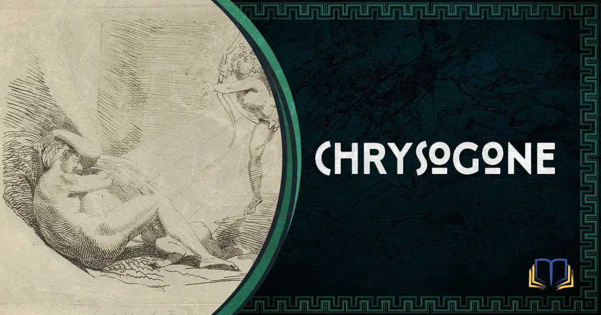 featured image that says chrysogone