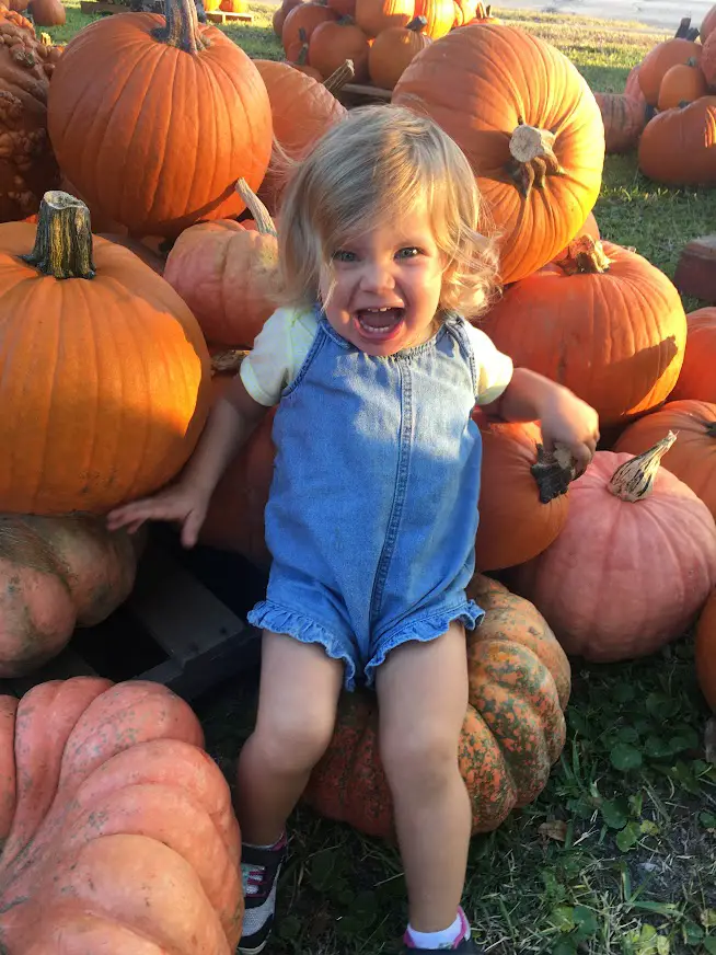 Piper in the pumpkin patch